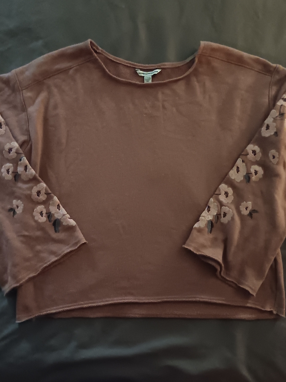 American Eagle Outfitters Brownish Pink Floral-Embroidered Sleeve Sweatshirt
